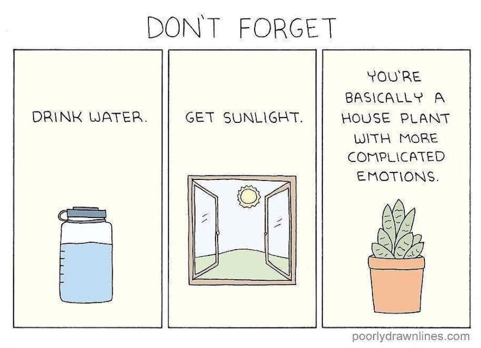 Don't forget: Drink water. Get sunlight. You're basically a houseplant with more complicated emotions. by poorlydrawnlines.com